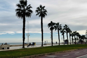 Designer Outlet Shopping + VIP Tesla X 360° City Tour