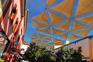 Designer Outlet Shopping + VIP Tesla X 360° City Tour