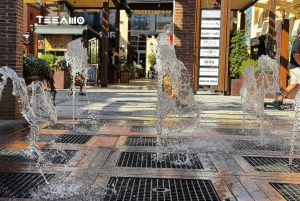 Designer Outlet Shopping + VIP Tesla X 360° City Tour