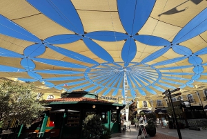 Designer Outlet Shopping + VIP Tesla X 360° City Tour