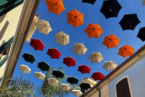 Designer Outlet Shopping + VIP Tesla X 360° City Tour