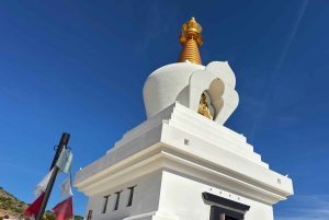 Designer Outlet Shopping + VIP Tesla X 360° City Tour