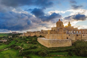 Mdina, Dingli Cliffs and San Anton Botanical Gardens