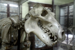 Malta: Prehistoric Temples and Highlights of the South