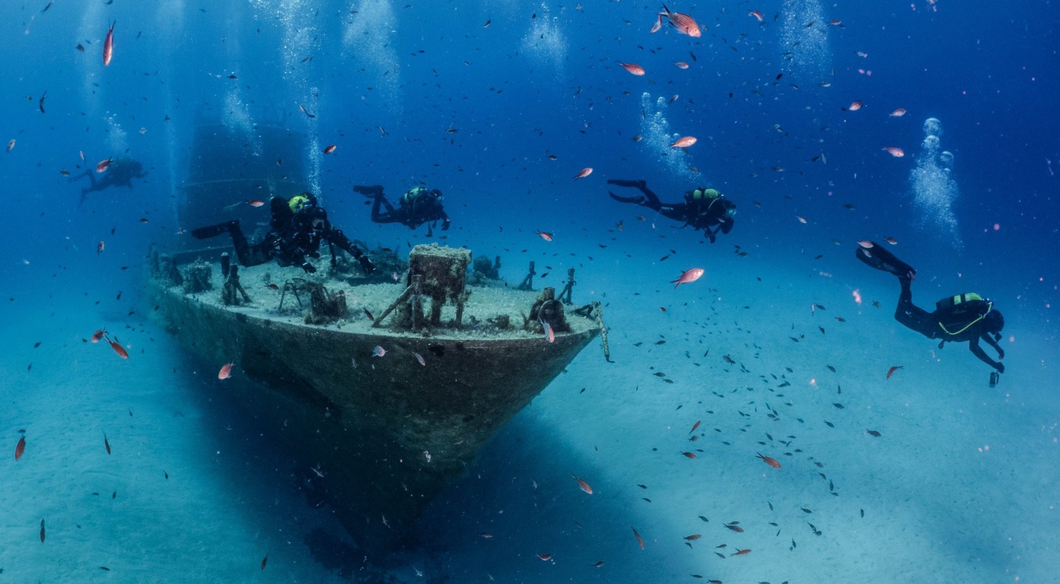 OrangeShark Diving Centre