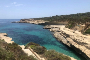 Bezoek Tarxien Tempels, Kalanka Baai, Blauwe Grot, Marsaxlokk