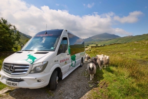 From Manchester: Lake District Including Lake Cruise & Train