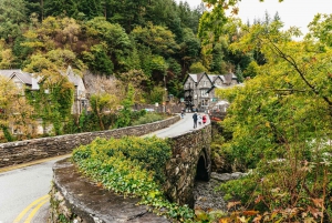 From Manchester: North Wales, Snowdonia, and Chester Tour