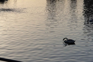Manchester: Salford Quays Guided Walking Tour