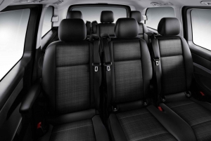 Costa del Sol: Privat 1-vejs transport til/fra Malaga lufthavn