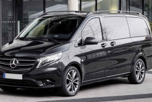 Costa del Sol: Privat 1-vejs transport til/fra Malaga lufthavn