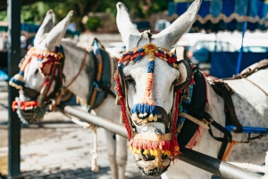 From Costa del Sol: Mijas, Marbella and Puerto Banús Tour