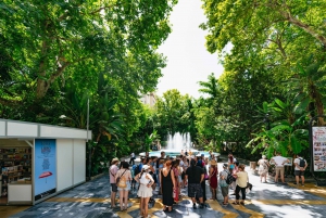 From Costa del Sol: Mijas, Marbella and Puerto Banús Tour