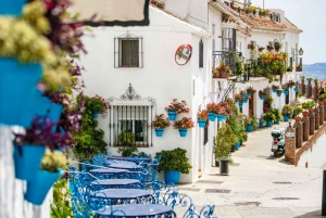 From Malaga or Costa del Sol: Mijas, Marbella & Puerto Banus