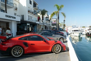 From Malaga or Costa del Sol: Mijas, Marbella & Puerto Banus