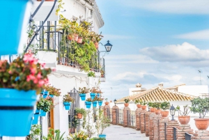 From Malaga or Costa del Sol: Mijas, Marbella & Puerto Banus