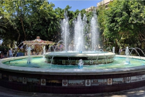 From Malaga or Costa del Sol: Mijas, Marbella & Puerto Banus