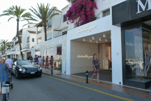 From Malaga or Costa del Sol: Mijas, Marbella & Puerto Banus