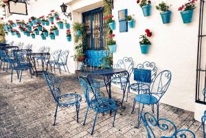 From Malaga or Costa del Sol: Mijas, Marbella & Puerto Banus