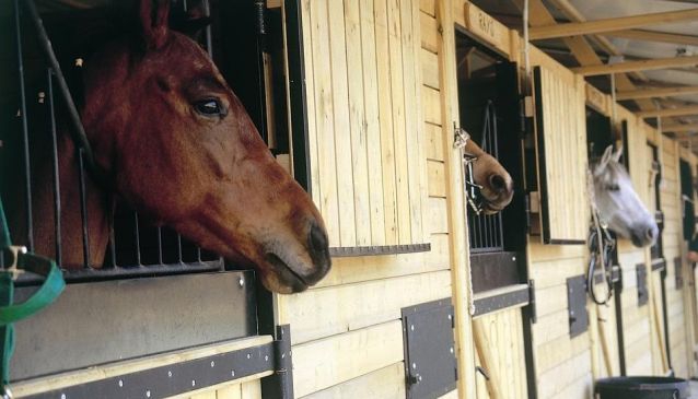 The Marbella Club Equestrian Centre