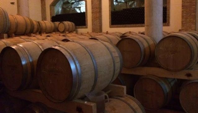 TrippyVines Wine Tours