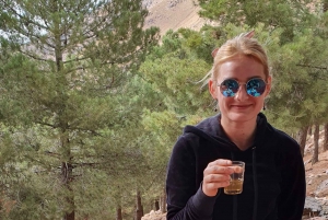 Mönkijä- ja kameliratsastus auringonlaskunäkymillä ja illallisesityksellä