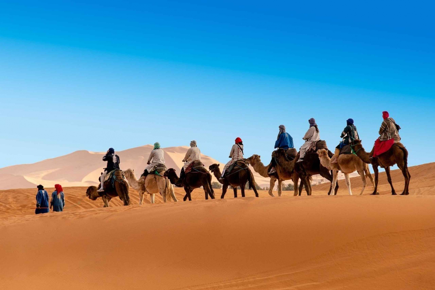 Marrakech: 2-dagers tur til Sahara Zagora-ørkenen og AitBenHaddou