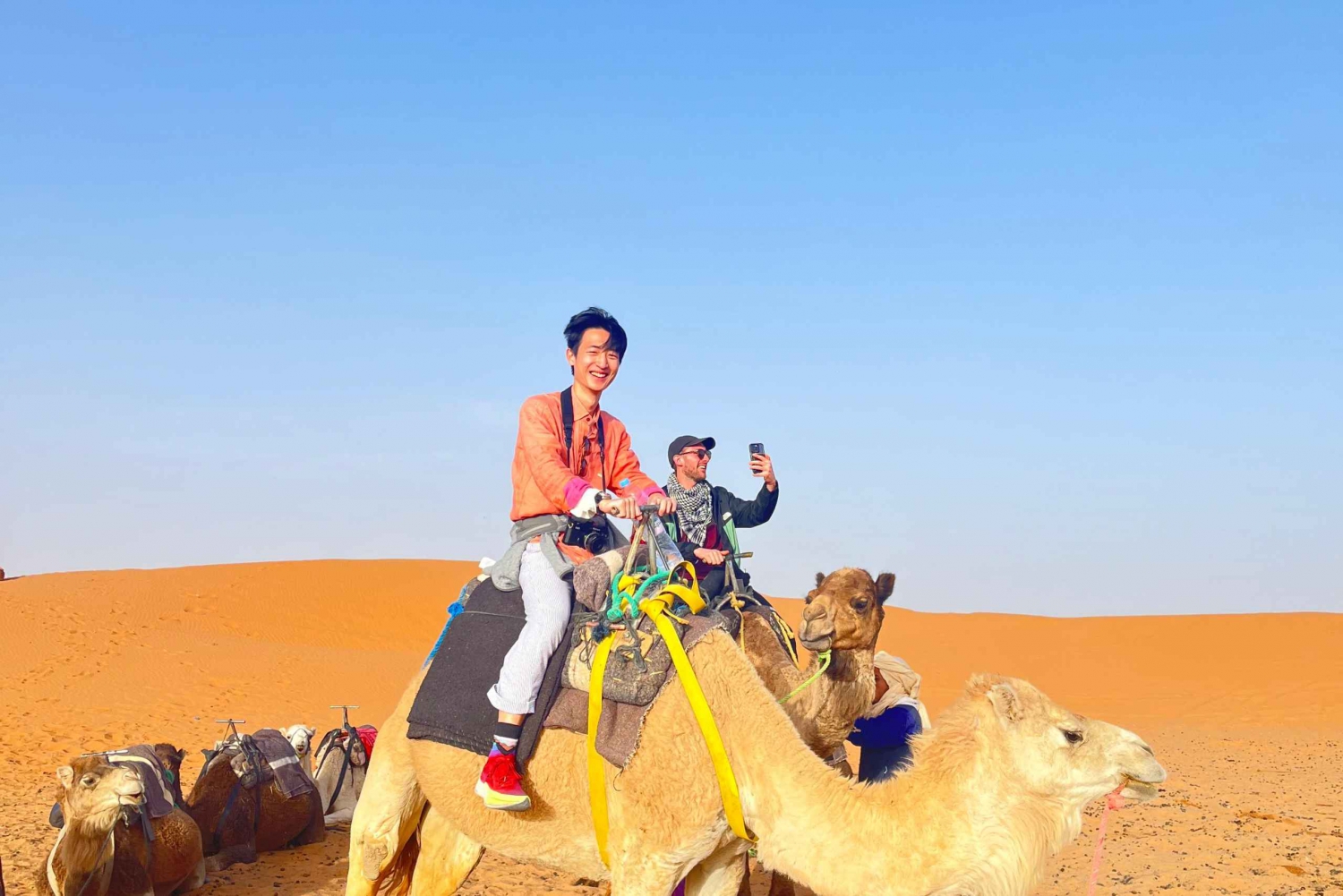 Da Fes: tour di 2 giorni nel deserto fino a Marrakech con campeggio di lusso