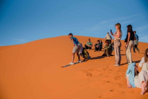 3 päivän matka Marrakechista Merzougan: kameli, mönkijä, yö leirissä