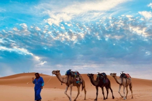 3 päivän matka Marrakechista Merzougan: kameli, mönkijä, yö leirissä