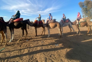 Marrkech: Solnedgång i Agafay-öknen med kamel, middag och show