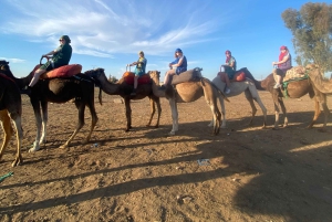 Marrkech: Solnedgång i Agafay-öknen med kamel, middag och show