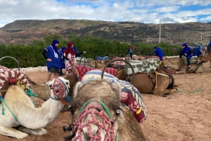 Marrkech: Solnedgång i Agafay-öknen med kamel, middag och show