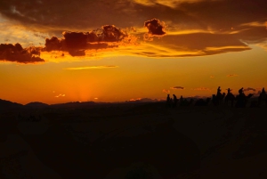 Marrkech: Solnedgång i Agafay-öknen med kamel, middag och show