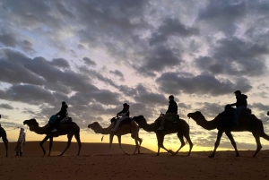 Marrkech: Solnedgång i Agafay-öknen med kamel, middag och show