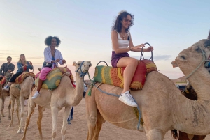 Marrkech: Solnedgång i Agafay-öknen med kamel, middag och show