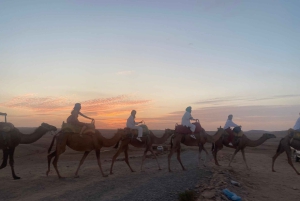 Marrkech: Solnedgång i Agafay-öknen med kamel, middag och show