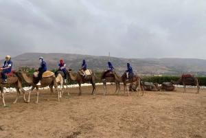 Marrkech: Solnedgång i Agafay-öknen med kamel, middag och show