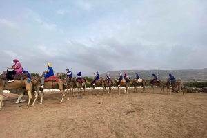 Marrkech: Solnedgång i Agafay-öknen med kamel, middag och show