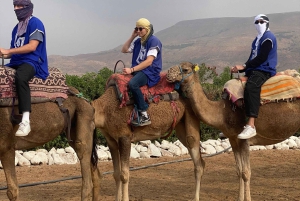 Marrkech: Solnedgång i Agafay-öknen med kamel, middag och show