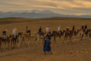 Marrkech: Solnedgång i Agafay-öknen med kamel, middag och show