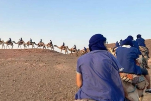 Marrkech: Solnedgång i Agafay-öknen med kamel, middag och show