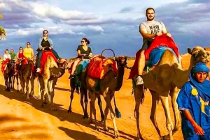 Marrkech: Solnedgång i Agafay-öknen med kamel, middag och show