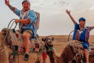Marrkech: Solnedgång i Agafay-öknen med kamel, middag och show