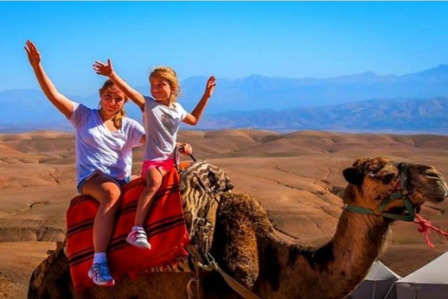 Excursion d'une journée dans les montagnes de l'Atlas, les chutes d'eau des trois vallées et le désert