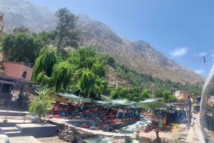 Marrakesch: Tagestour ins Ourika-Tal mit Mittagessen und geführter Wanderung