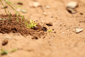 Marrakech: een dag vol natuur, pottenbakken, wandelen en zwemmen