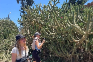 Marrakech: een dag vol natuur, pottenbakken, wandelen en zwemmen
