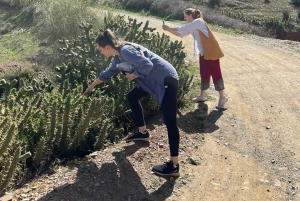 Marrakech: een dag vol natuur, pottenbakken, wandelen en zwemmen