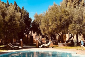 Marrakech: een dag vol natuur, pottenbakken, wandelen en zwemmen